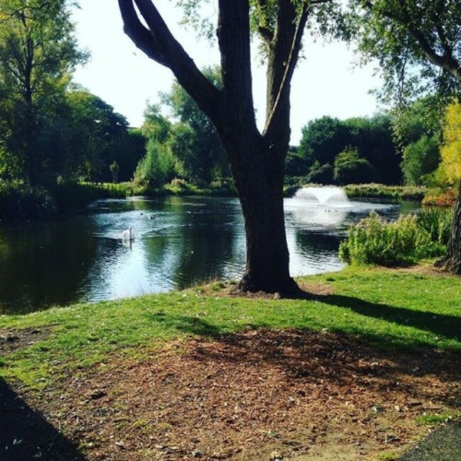 Lovely walk the other day down in tolka valley park