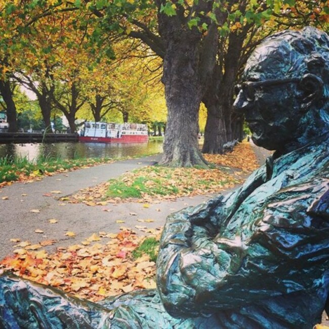 Had a lovely walk by the canal, stopped for the chats as usual with Paddy