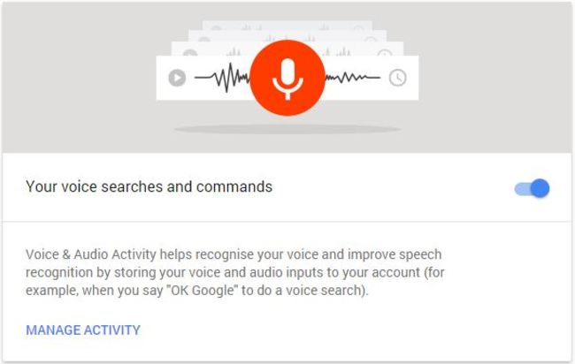 Google voice search