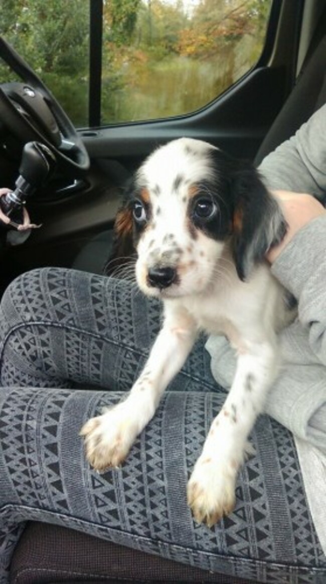 11898750_884668631611297_5094314024896365503_n