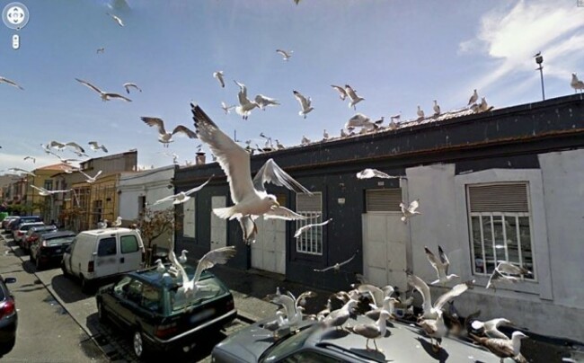 funny-google-street-view-photos-6