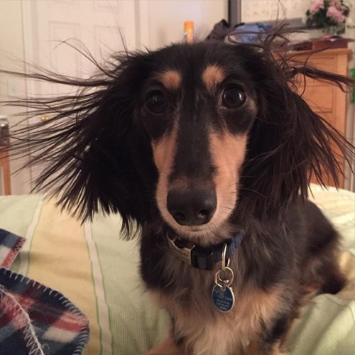 Not funny Mom! #staticcling #badhairday