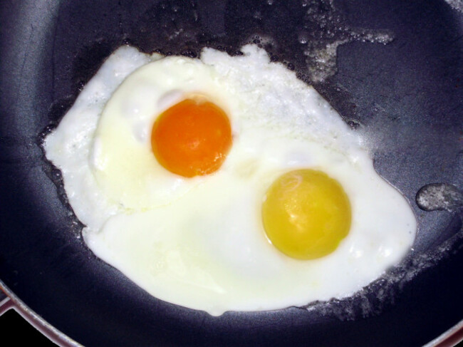 Fried Eggs