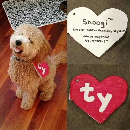 beanie baby tag dog costume