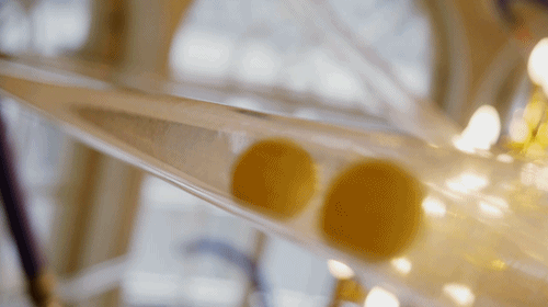 Art Animated GIF