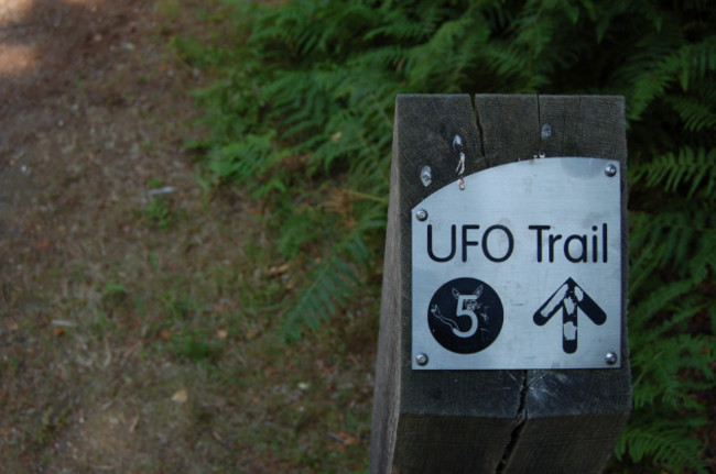 Rendlesham Forest