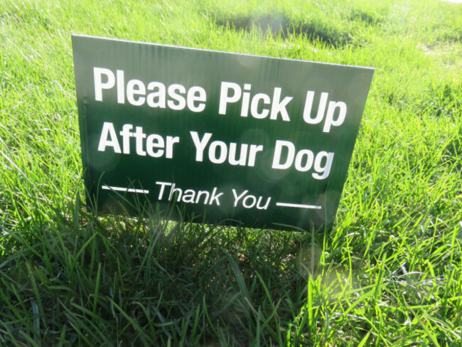 Please pick up after your dog