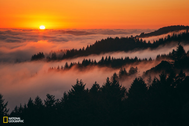 Sunset Above The Fog