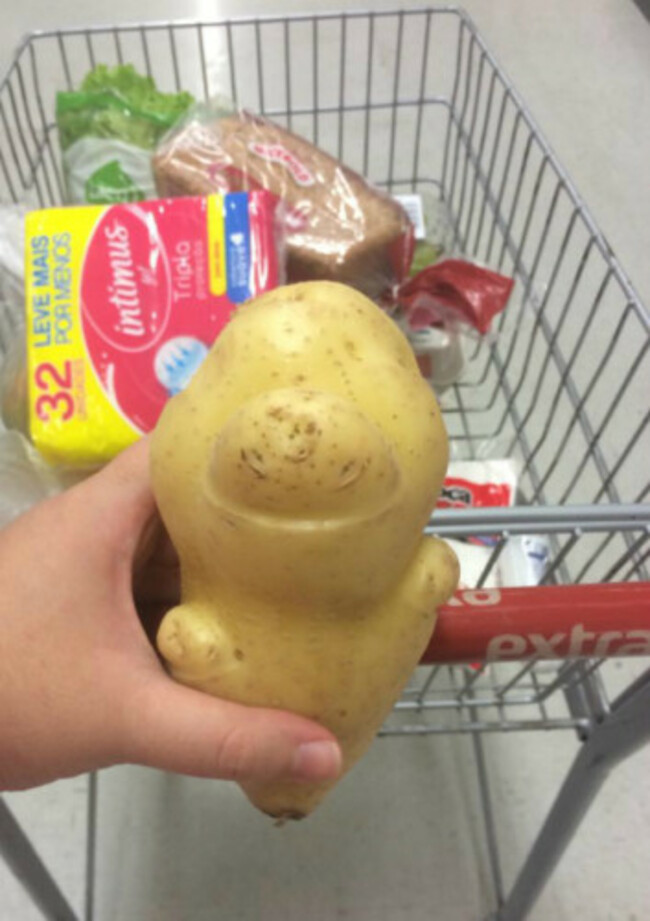 potato1