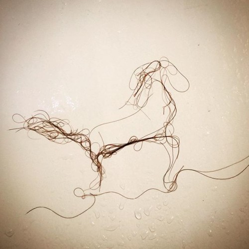 #showerhair #art shedding at its best.