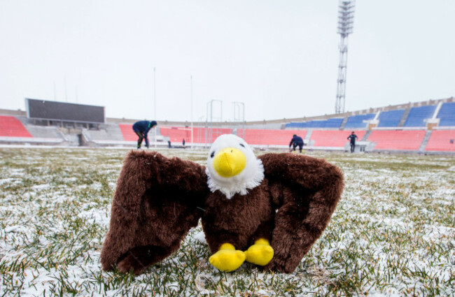 A view of the Connacht Mascot Eddie