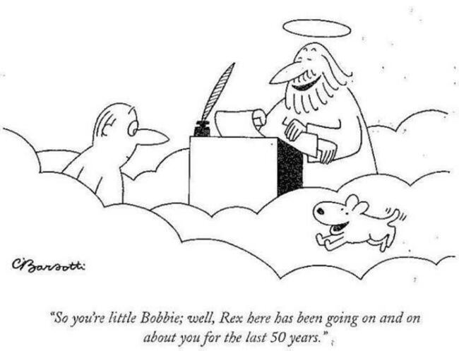 barsotti-dog-heaven