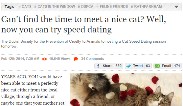dspca cat speed dating stawki rozwodów randki online