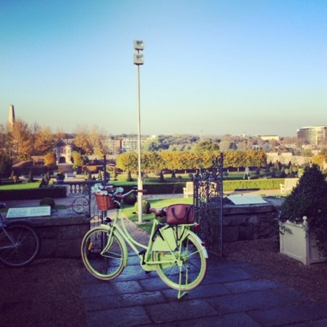 Monday Fun Day #blackhalldays #autumn #basil #BHbikergang #squad