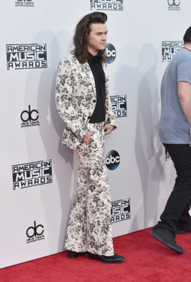 2015 American Music Awards - Arrivals