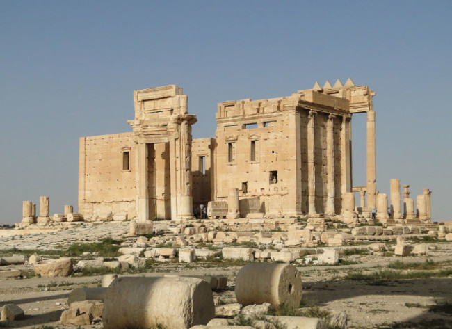 palmyra