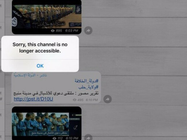 isis telegram suspended