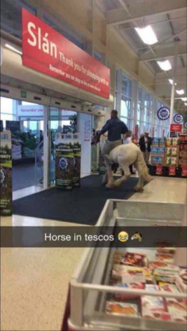 tescohorse