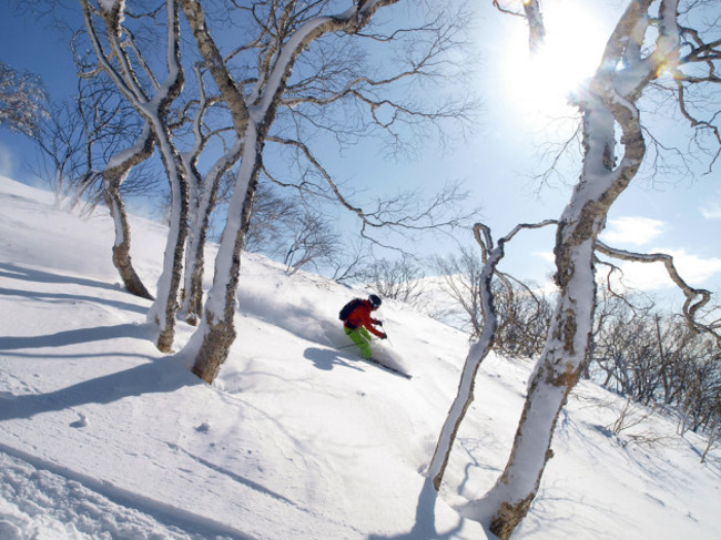 A skier descends a mountain slope with powder snow in the ski area of Niseko, Japan.