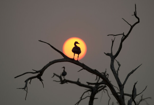 shutterstock_141155017