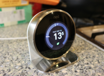 nest1