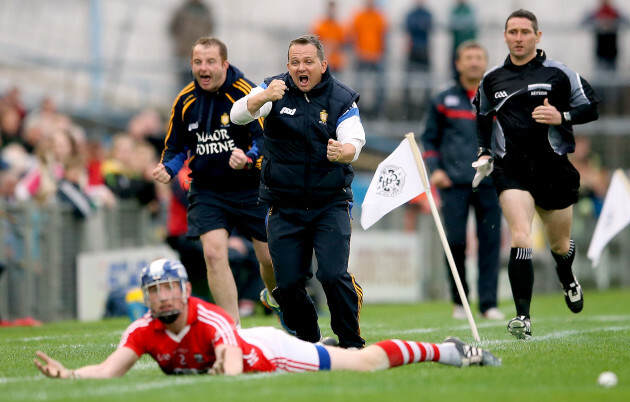 Davy Fitzgerald celebrates after his side wins a free