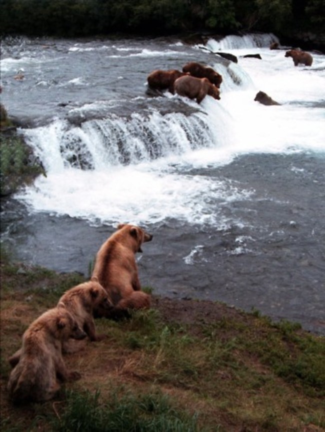 ALASKA OUTDOORS