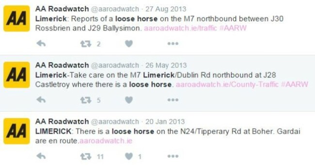limerick