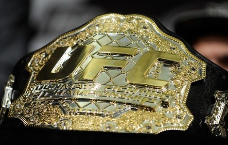 UFC 162 MMA