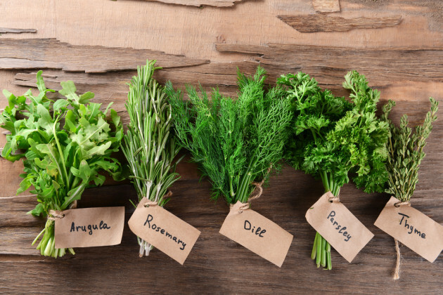 Here's how to grow the most popular herbs that will save you cash