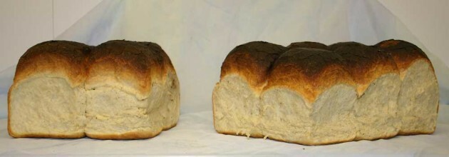 Batch-bread-web