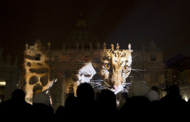 Vatican Holy Year Photo Show