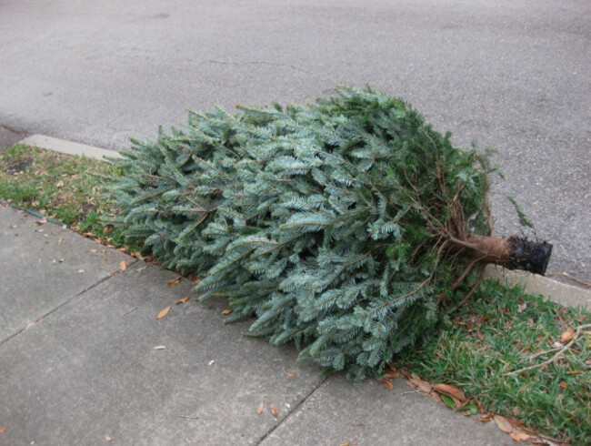 Eleventh Day of Christmas