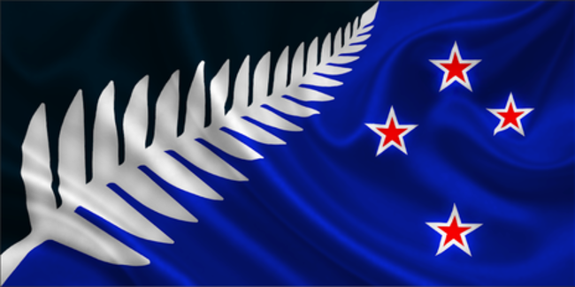 Silver fern flag