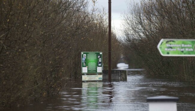 10/12/2015. Athlone Floods. A nature walk in Athlo