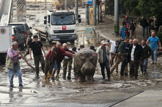 Europe Africa The Week in Pictures