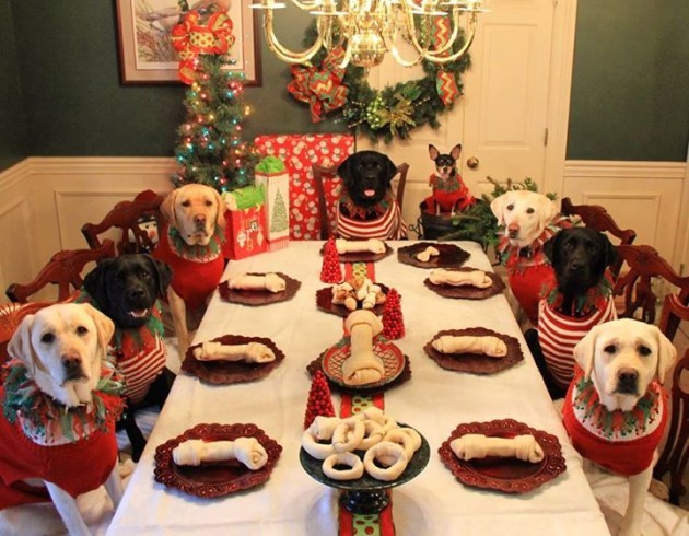 A Couple Made A Kids Table At Christmas Dinner For Their Dogs