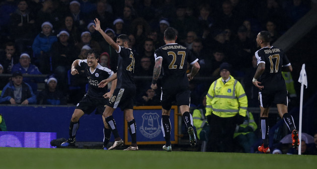Everton v Leicester City - Barclays Premier League - Goodison Park