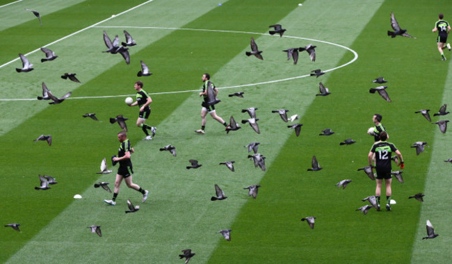 Kerry players take to the pitch for the warm up