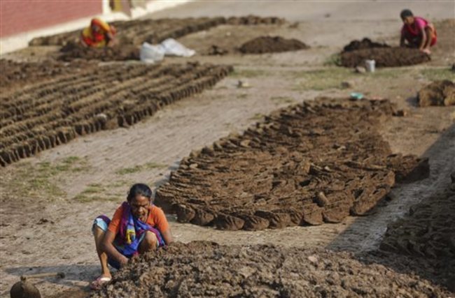 India Cow Dung Cake