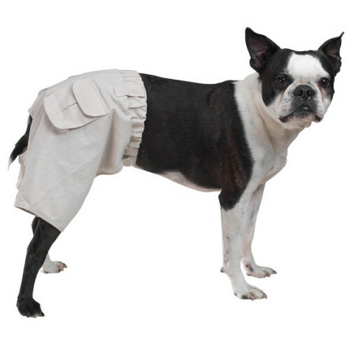 Trousers shop for dogs