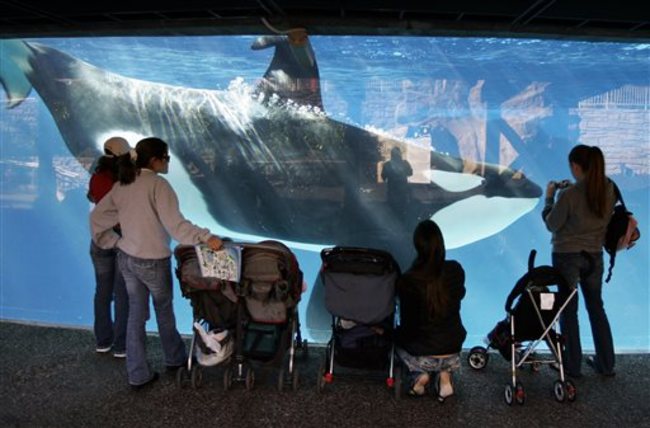 SeaWorld Orca Tanks