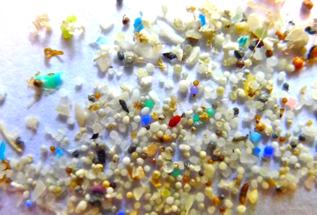 5.5gyres-plastic-microbead-detail (1)