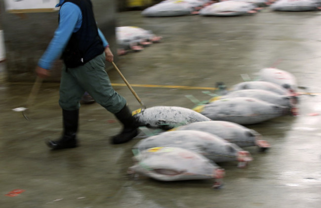 Japan Moving Tsukiji