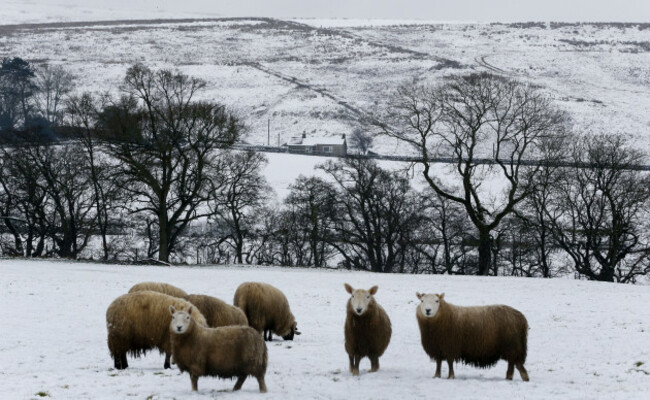 Winter weather Jan 9th 2016