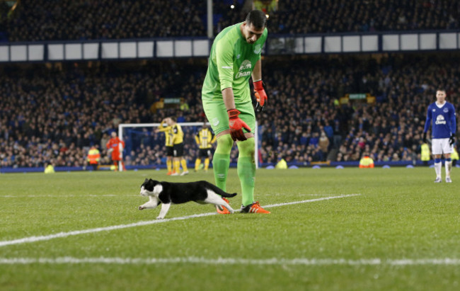 Everton v Dagenham and Redbridge - Emirates FA Cup - Third Round - Goodison Park