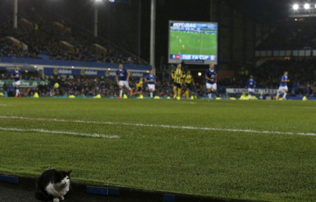 Everton v Dagenham and Redbridge - Emirates FA Cup - Third Round - Goodison Park