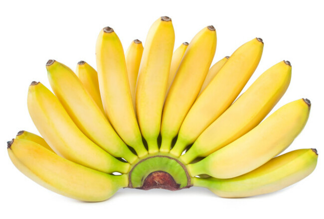 shutterstock_168640598