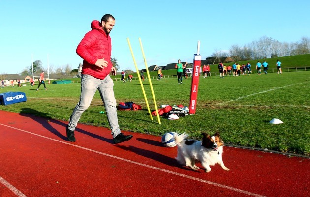 Andy Farrell chases a dog