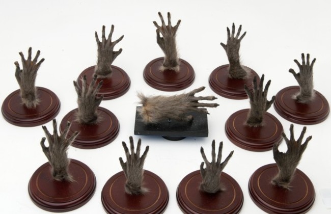 BUSH-12 monkey hands